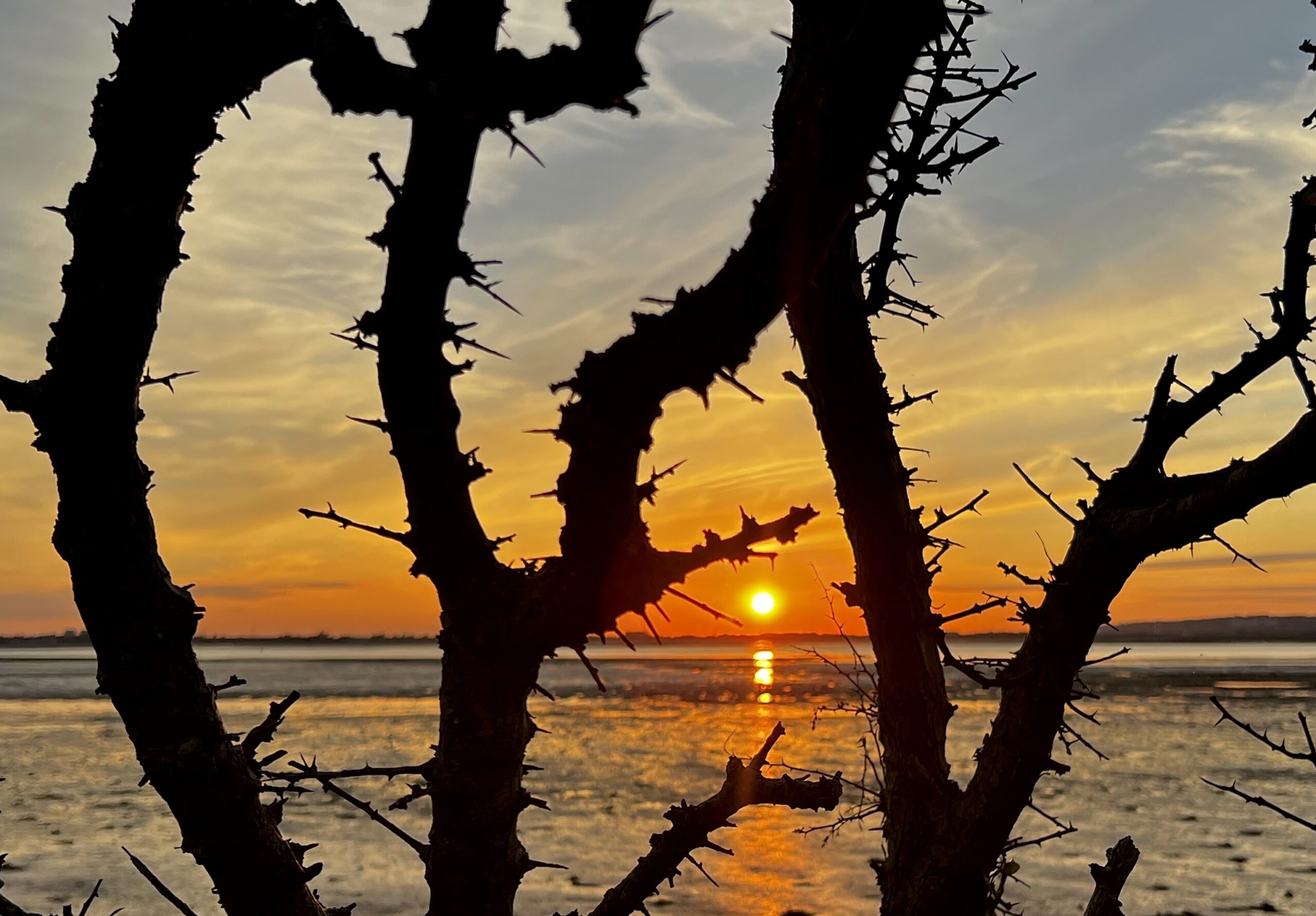 IMG_5006-1-scaled Home